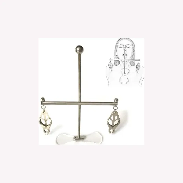 Butterfly Nipple Cage product photo