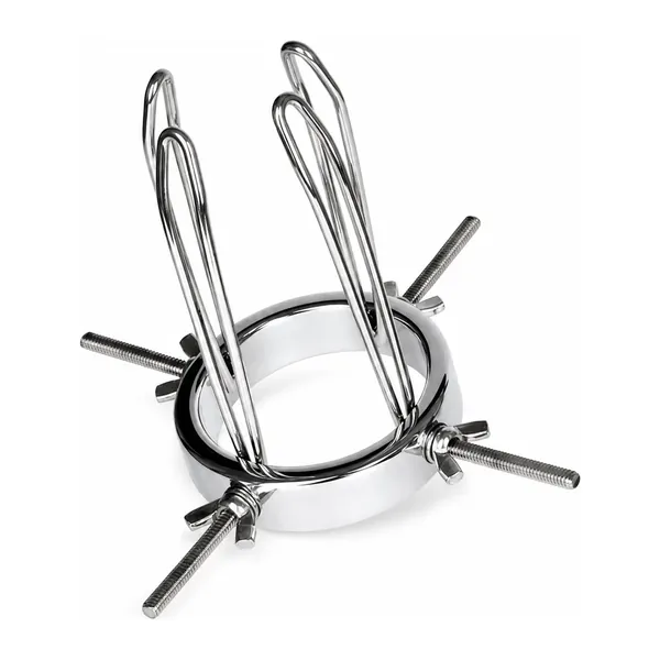 Speculum, stainless steel ring with four adjustable prongs
