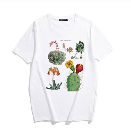 Cacti Succulents Shirt - Onyx Bunny